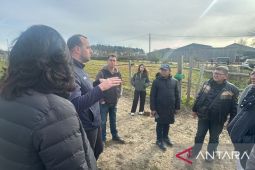 Pordasi tiru Prancis soal perawatan pengembangbiakan kuda