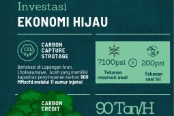 Songsong investasi global, PEMA fokus kembangkan ekonomi hijau