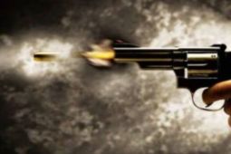 Empat tewas, 16 terluka dalam penembakan di bar di California