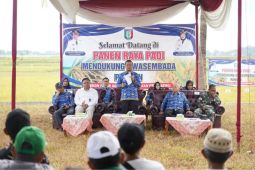 Bupati Pringsewu lakukan panen raya di Dusun Padangsuryo Pekon Fajaragung