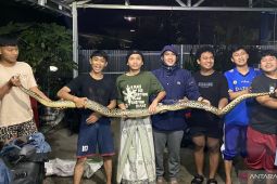 Satpol PP Cianjur imbau warga waspada usai ular sanca 3,5 meter ditemukan di permukiman