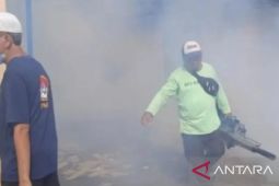 Sebanyak 40 kasus DBD terjadi selama Ramadhan di Palembang