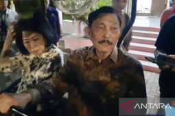 Ketua DEN: Presiden Prabowo akan temui investor setelah IHSG anjlok
