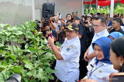 Pemprov DKI panen serentak 20 ton cabai hingga ikan di 266 titik wilayah Jakarta