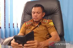 Dipertan sebut produksi gabah terus meningkat di Baubau
