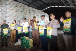 Bupati Belitung tinjau gudang Bulog cek ketersediaan beras