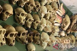 Kemenhut RI bentuk tim khusus cegah perdagangan tanaman dan satwa liar dilindungi