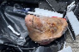 Istana sebut insiden Tempo jangan dibesarkan