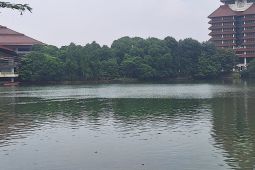 Cegah banjir, Pemkot Depok tata empat situ untuk tingkatkan daya tampung air