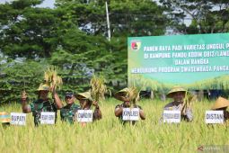 Kodim 0812 tanam padi varietas unggul di 27 koramil, dukung ketahanan pangan