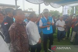 Menteri ESDM: Stok BBM dan listrik untuk Lebaran aman