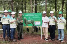 Pemprov Kaltim  periksa kelayakan kandang penangkaran rusa di Kalsel