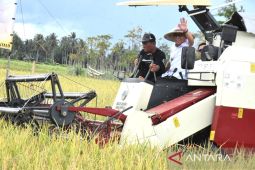 Bupati Gorontalo: Langkah Bulog kunci stabilitas harga gabah