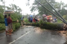 BPBD Jember imbau warga waspadai cuaca ekstrem selama sepekan