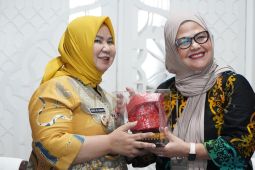 Pemkab Langkat terima kunjungan Komisi Nasional Disabilitas