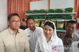 Wamendag harap pelaku usaha distribusikan bahan pokok sesuai ketentuan
