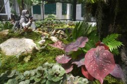 BRIN: Indonesia miliki potensi besar temukan spesies flora baru