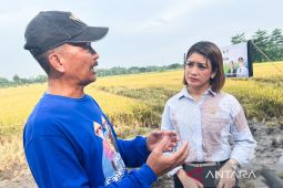 Presiden sejahterakan petani lewat gabah Rp6.500/kg