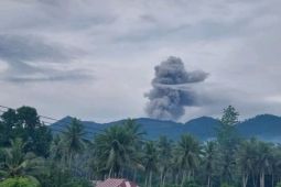 Semburkan kolom abu, PGA sebut Gunung Dukono di Halmahera Utara kembali erupsi