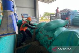 Bulog telah serap sebesar 400 ribu ton gabah setara beras hingga Maret 2025