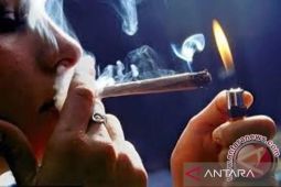 Polisi ringkus lima mahasiswa dan seorang pengedar ganja