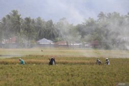 Pemkab Bone Bolango dukung program swasembada pangan