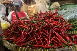 PIHPS: Harga bawang merah Rp46.050/kg dan cabai rawit Rp88.450/kg