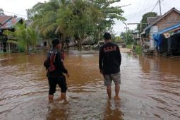 BPBD Murung Raya pantau empat lokasi banjir