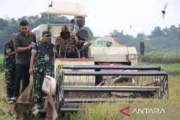 Kiprah prajurit TNI AD wujudkan petani sejahtera