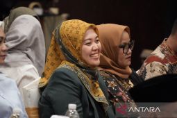 DPR minta pemerintah perbaiki tata kelola imigrasi untuk dukung wisata