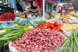 PIHPS: Harga bawang merah Rp49.250/kg, cabai rawit Rp101.200/kg