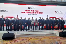 Direktur Mandiri hingga CEO Vale dapat amanah urus operasional Danantara