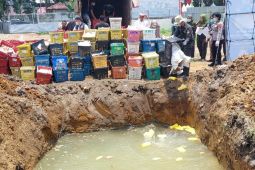 Polda Sumut musnahkan empat ton  mangga asal Thailand