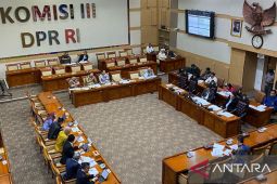 Penghinaan ke presiden dapat diselesaikan keadilan restoratif di RKUHAP