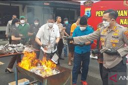 Polresta Sorong musnahkan barang bukti ganja seberat 6 kilogram