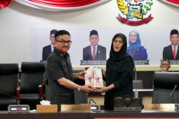 Sekda Sulsel paparkan realisasi APBD dan capaian LKPJ Gubernur tahun 2024