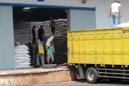 Pendistribusian pupuk tak terganggu musim mudik Lebaran