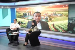 SGN sebut 75 persen produksi gula Jatim bantu swasembada