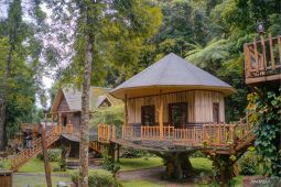 Taman Safari Indonesia siapkan paket libur Lebaran di Safari Resort Bogor
