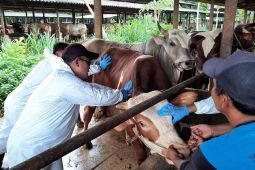FMD control optimal ahead of Eid, Agriculture Ministry says