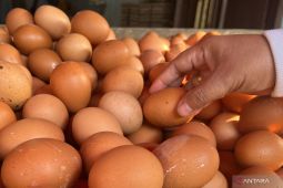 Di Jakarta, harga ayam Rp29.500/kg, cabai rawit Rp97.150/kg
