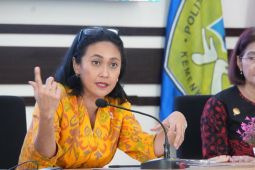 Wamen P2MI beri penjelasan soal prosedur resmi bekerja di luar negeri