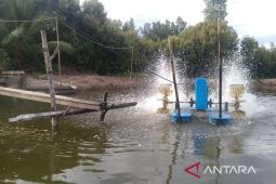 BMKG imbau warga Kaltim  waspadai hujan lebat dan rob saat Lebaran