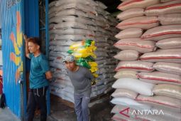 Bulog Cabang Rejang Lebong serap 461 ton beras petani
