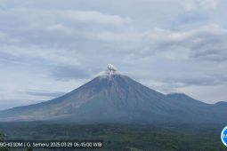 Gunung Semeru erupsi  muntahkan abu panas setinggi 800 meter