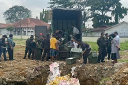 Polda Sumut musnahkan delapan  ton mangga asal Thailand