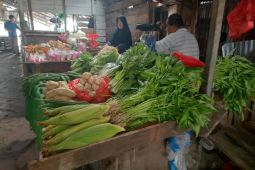 Harga bahan pokok pasar Sambas fluktuatif jelang lebaran