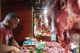 Harga daging sapi di pasar Tanjungpandan naik jadi Rp170 ribu per kilogram