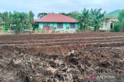 Mukomuko targetkan tanam jagung seluas 462 Ha