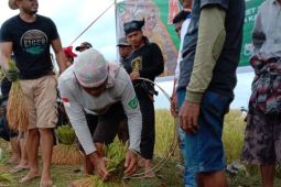 Tradisi "Katto Bokko" Marusu tak lekang zaman